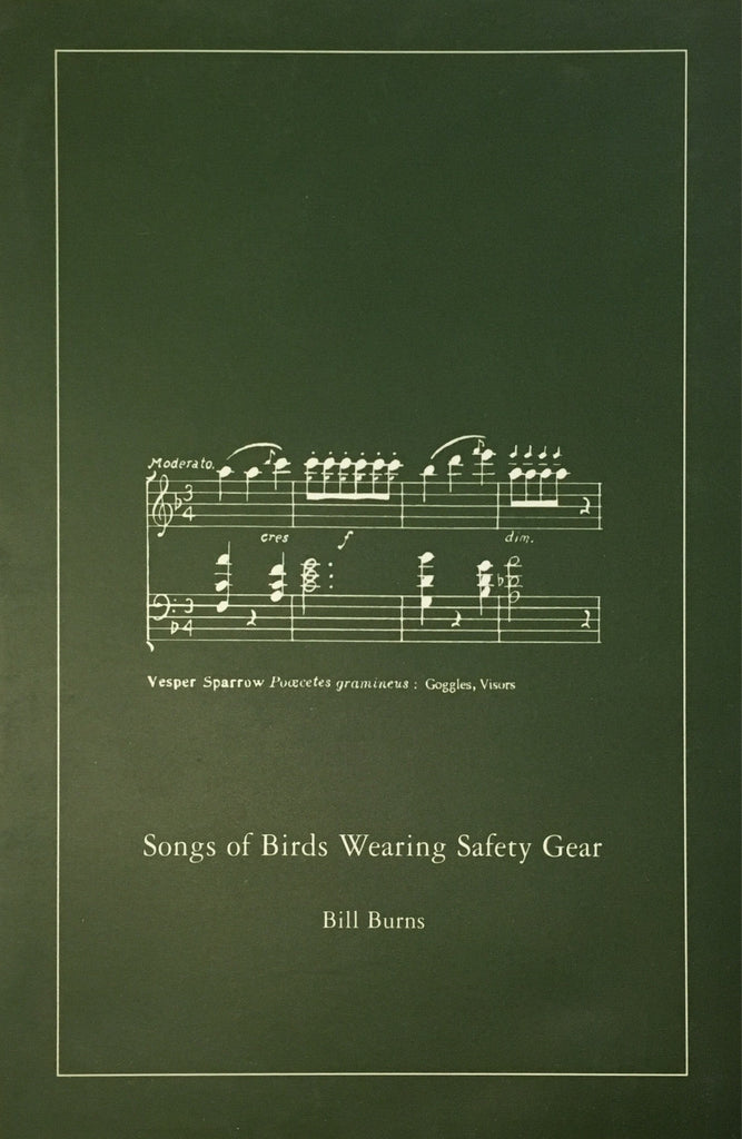 Bill Burns: Songs of Birds Wearing Safety Gear