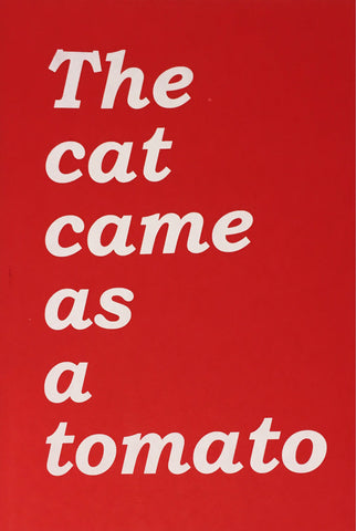 The cat came as a tomato: Conversations on play and contemporary art practice from the South London Gallery
