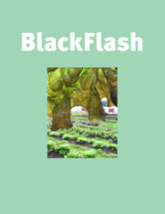 BlackFlash 38.1