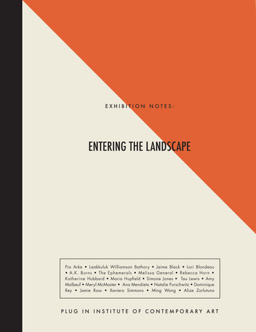 Exhibition Notes: Entering The Landscape