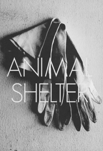 Animal Shelter: Issue 2