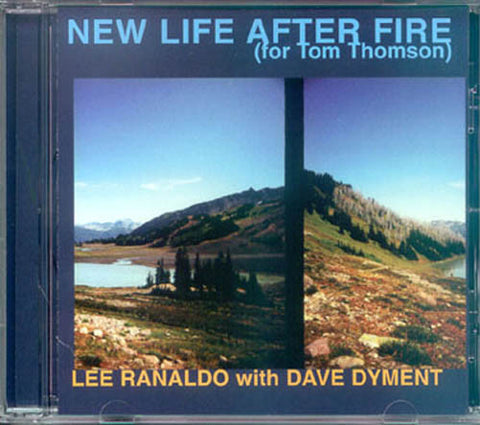 Dave Dyment 'New Life After Fire' CD
